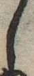 𛁅 위치 확인됨