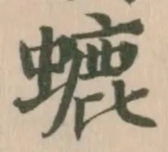螰 위치 확인됨