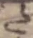 字た