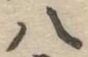 八 위치 확인됨