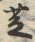 芝 위치 확인됨