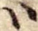 𛂞の位置