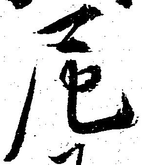 尼の位置