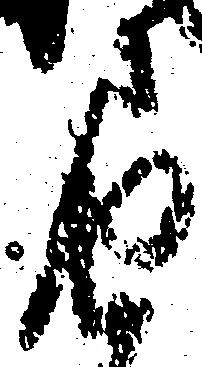 届の位置