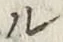 𡨸ル