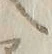 “カ”字