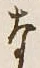 Chữ な