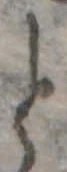 位置 確認된 と