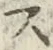 字ス