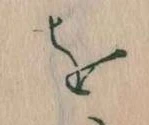 位置定マレルを