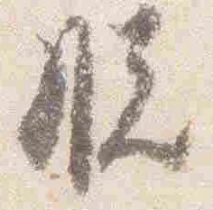 脱 위치 확인됨