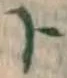 字ト