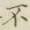 글자 不