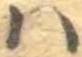 𛂞 위치 확인됨