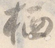 栖 위치 확인됨