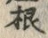 𡨸根