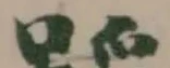 䠛の位置