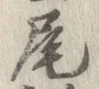 尾 위치 확인됨