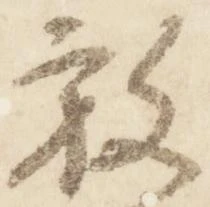 已定位放