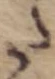 Đã định vị 𛁠
