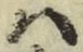字は