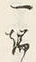 文字一