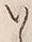字い
