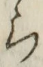 字ら