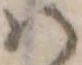 𛂞の位置