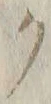“ク”字