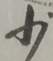 少 위치 확인됨
