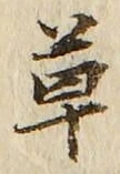 𡨸草