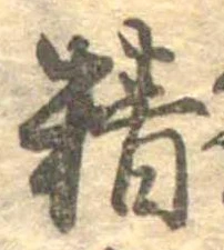 精 위치 확인됨