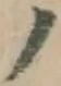 글자 ノ