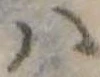 𛂞の位置