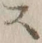 Chữ ス