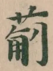 葪の位置