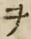 “ヲ”字