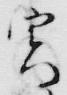 글자 実