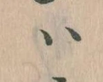 已定位𛂞
