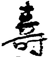 已定位寿