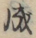 Đã định vị 成