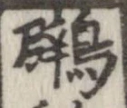鸊 위치 확인됨