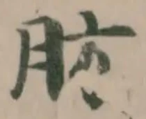 肪 위치 확인됨