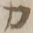 文字 カ