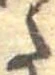 𛁠の位置