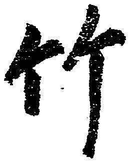竹 위치 확인됨