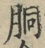 文字胴