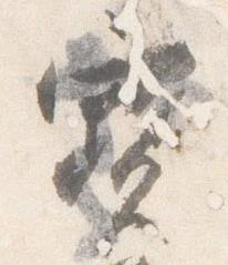 已定位宝