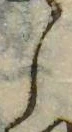 位置 確認된 𛁅